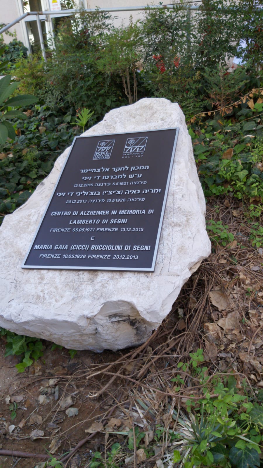 שלט יציקת אלומיניום עבור בית החולים תל השומר